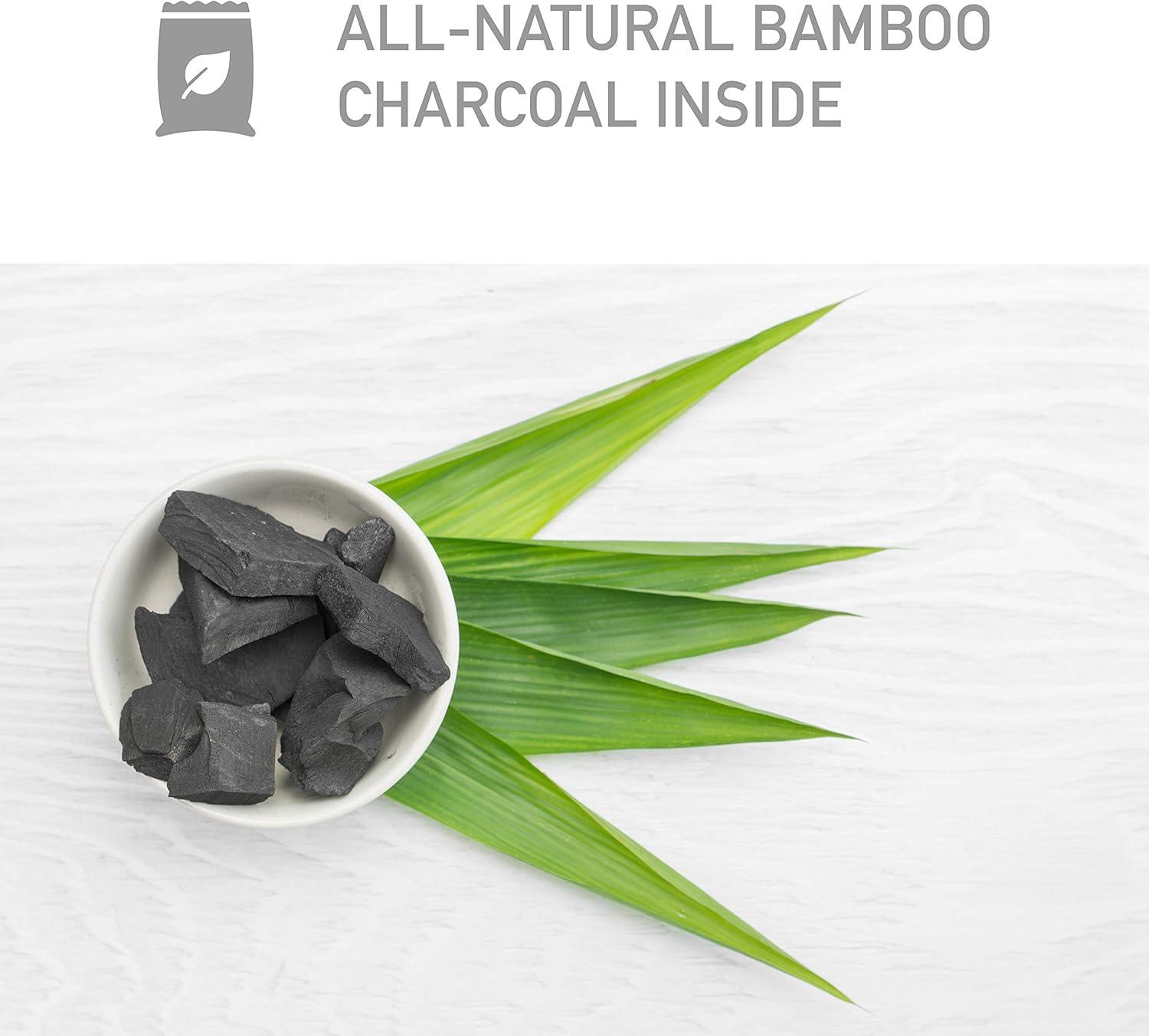 image:imagePureGuardian CB500 Bamboo Charcoal Air Purifying Bag EcoFriendly Naturally Absorbs Odors Excess Moisture and Pollutants 500g 2Pack GrayCB5002PK