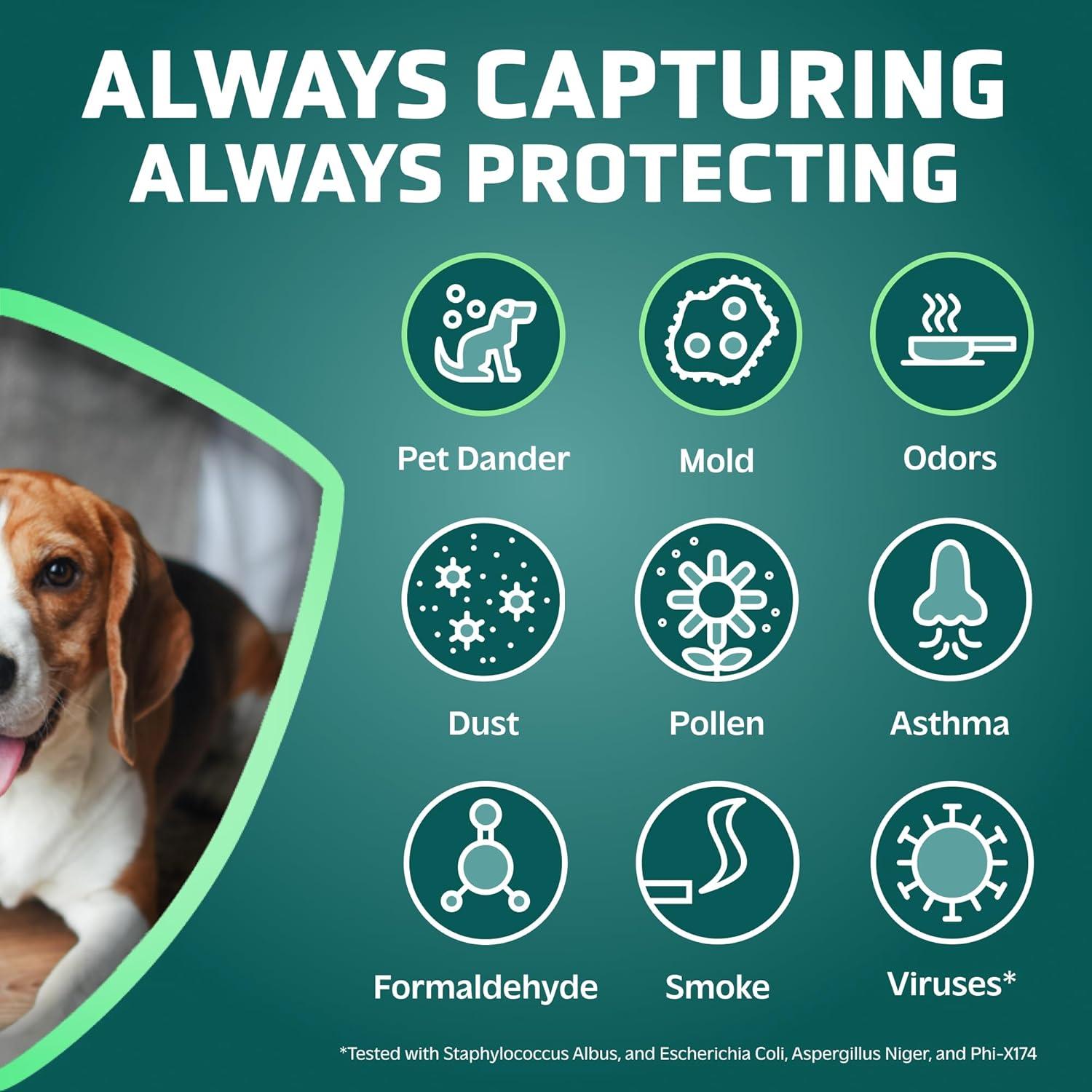image:imageGermGuardian Pet Pure HEPA Genuine Air Purifier Filter B Removes 9997 of Pollutants for AC4825 AC4820 AC4850 AC4870 CDAP4500 AC4900 AC4300 AP2200 2 Pack BlackPurple FLT4850PT2PK